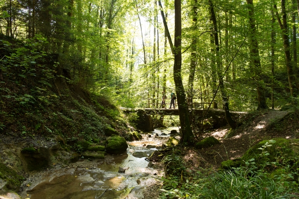 Zum Vater des Wanderns auf dem Pfannenstiel