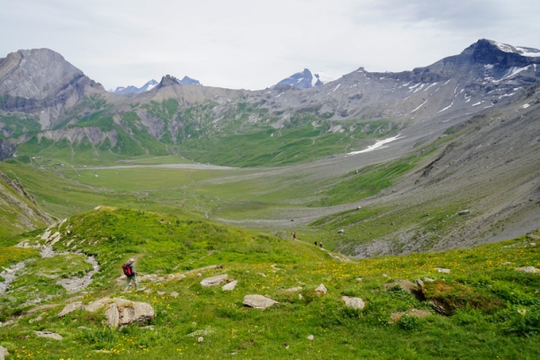 Zwischen üppig Grün und steinig Grau