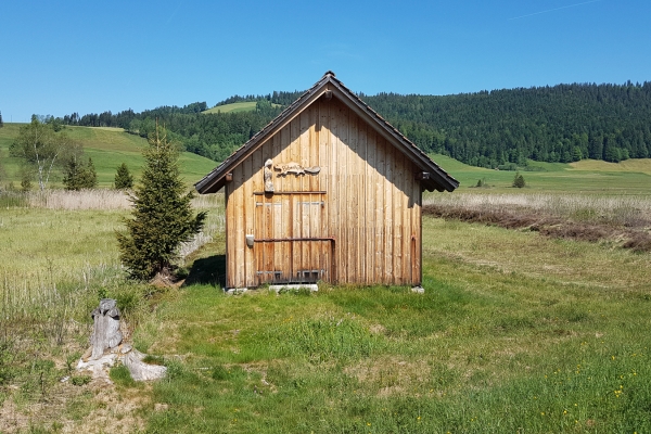 Dalla torbiera alta all’abbazia di Einsiedeln