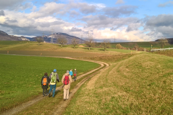 Von Attiswil nach Wangen an der Aare