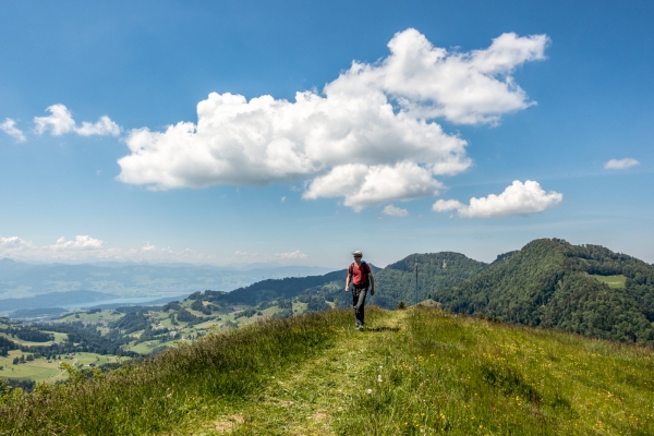 Auf und ab im Tössbergland