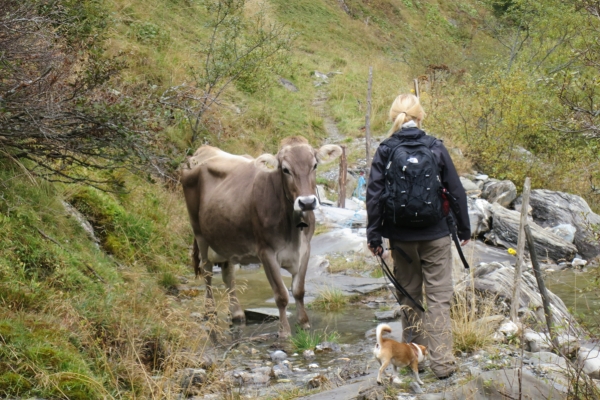 Le chemin des Walser de la vallée de Safien