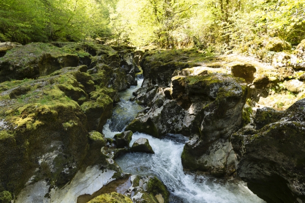 Durch die grüne Schlucht: die Gorges de l’Orbe