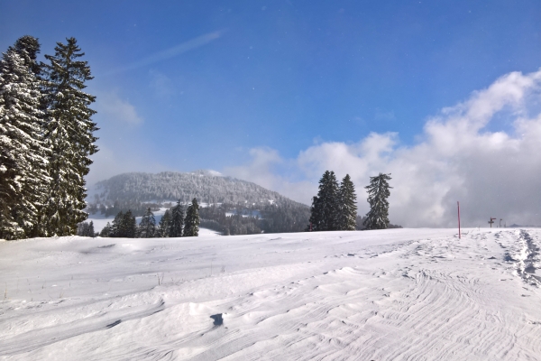 Sur le haut-plateau du Col des Etroits