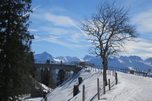 Hoch über dem Vierwaldstättersee