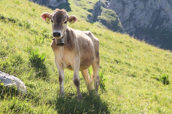 De raides montées au beau milieu d’un paradis fleuri