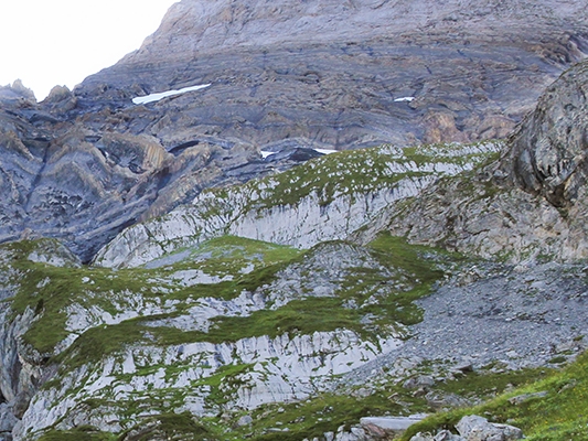 Sept Têtes dans les Alpes vaudoises