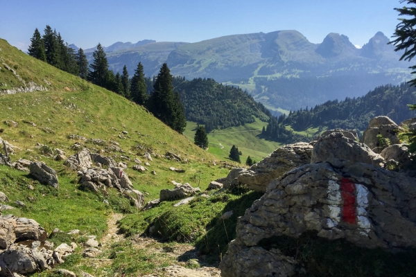 Badespass und Windenpass