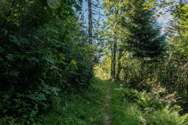 Das wundersame Mülibachtal GL