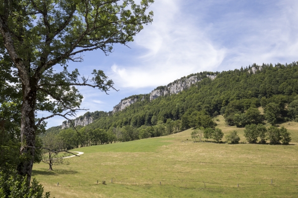 Sentiers isolés au Bättlerchuchi