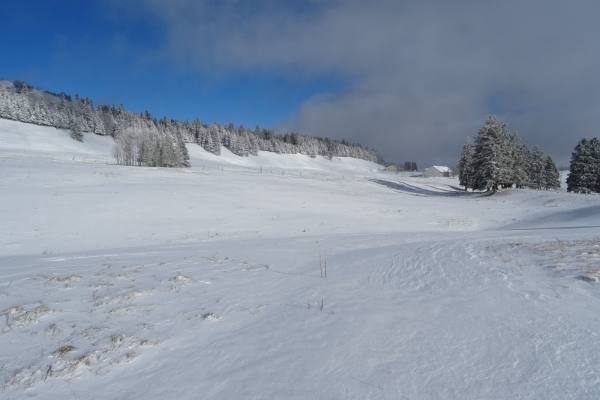 Montagne de Granges: randonnée en raquettes