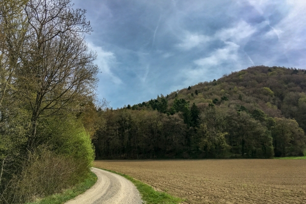 Wandern mit Weitsicht hoch über dem Rhein