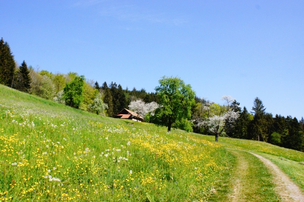 Le canton de Lucerne côté campagne 