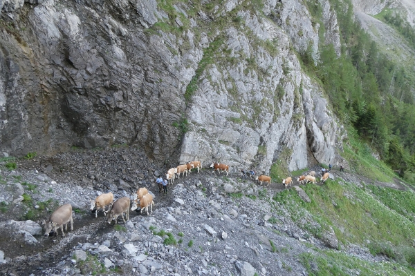 Am Wasserfall vorbei auf die Engstligenalp