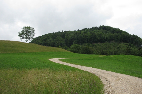 Regennass dans le Jura soleurois