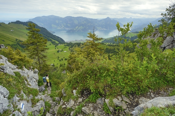 Balade sportive vers la Musenalp