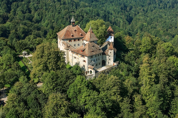 Von der Stadt durch den Wald auf die Kyburg