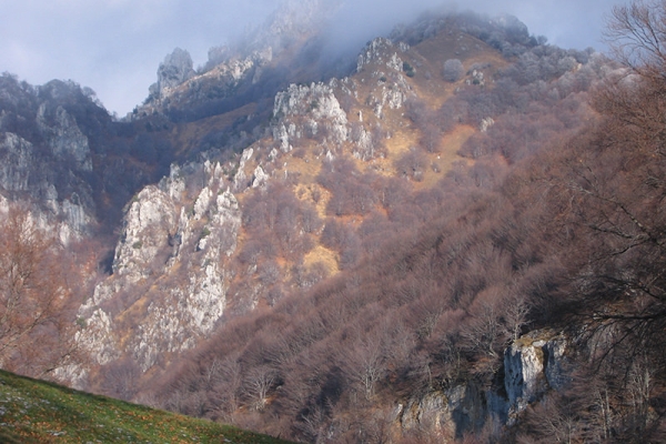 Entre les dent de la vieille