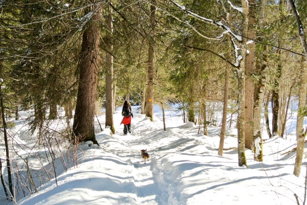 Wandern, wo die Schirme gleiten