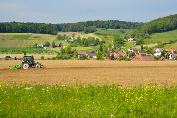 Asperges et vignes du Weinland zurichois