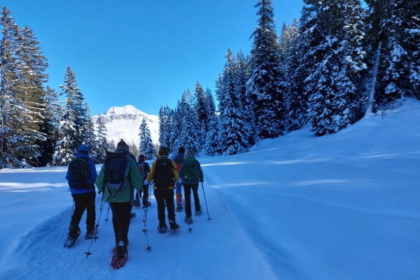 Vollmond-Winterwanderung (Anmeldung erforderlich)