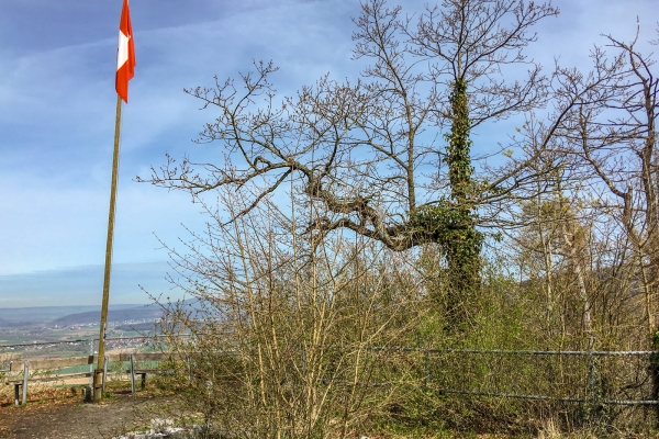 Wandern mit Weitsicht hoch über dem Rhein