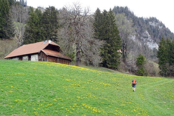 Simmentaler Höhlen- und Bäderpfad