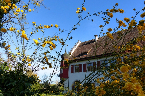 Vom Paradies ins Weinland