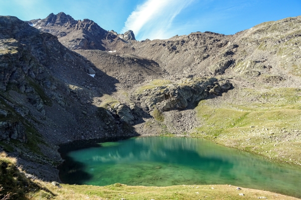 Pavot des Alpes et bouquetins