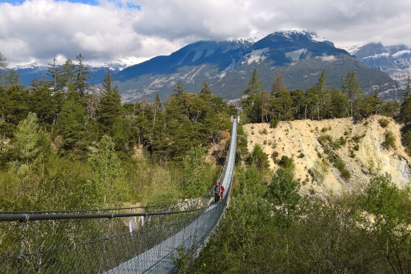 Escursione attraverso il bosco di Finges