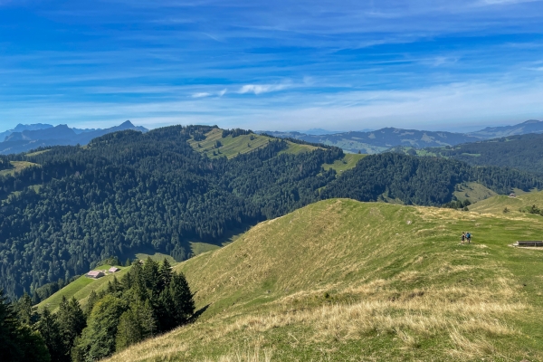 À travers le pays verdoyant d’Appenzell