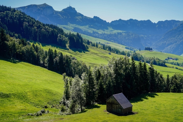 Höhepunkte in den Ausläufern des Alpsteins