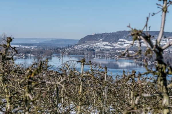 Auf dem Höhenweg