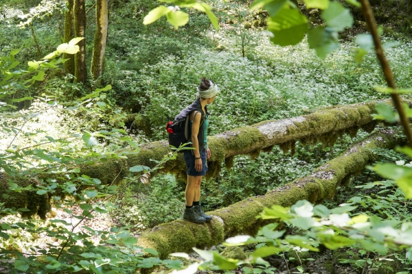 Auf Wassersuche in der Combe de Biaufond