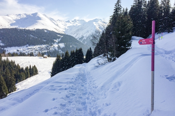 Auf Sonnensuche bei Sedrun 