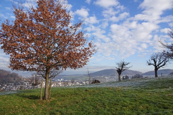 Historische Perlen im Basler Jura