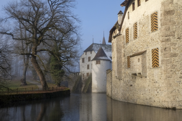 Quiétude hivernale près du lac de Hallwil