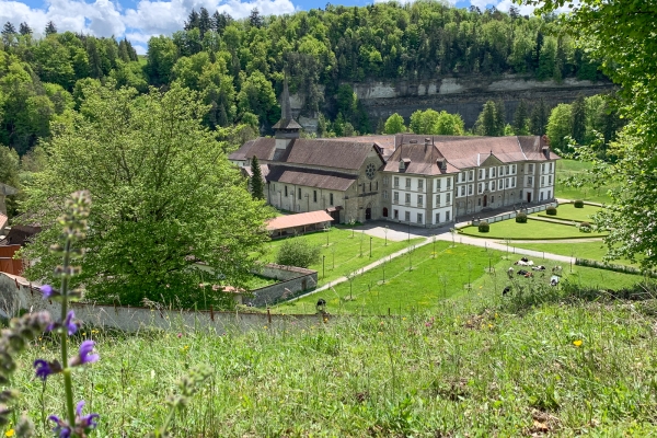 Von der mäandernden Saane zur wilden Ärgera