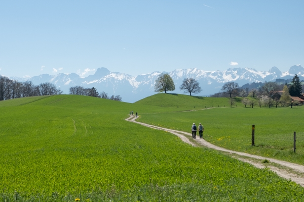 Auf dem Gürbetaler Höhenweg