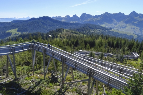 Sentier d’altitude dans la région du Gantrisch