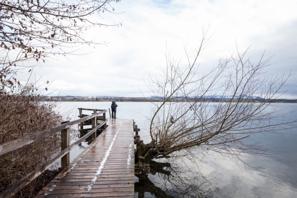 Winterlicher Gang dem Greifensee entlang