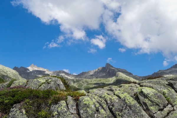 Vues splendides au-dessus de Disentis 