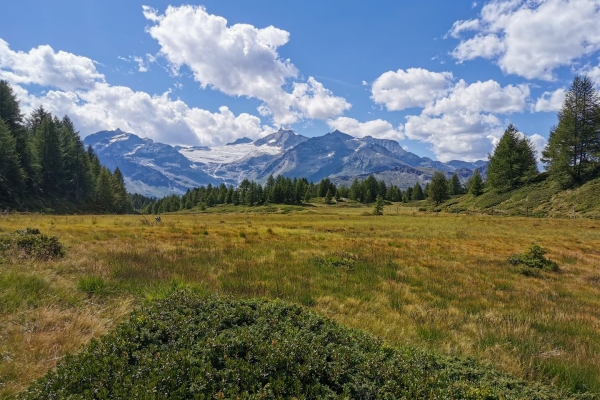 Kristallklarer Lagh dal Teo im Puschlav