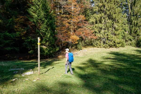 Im Jura zwischen Sonvilier und Le Noirmont