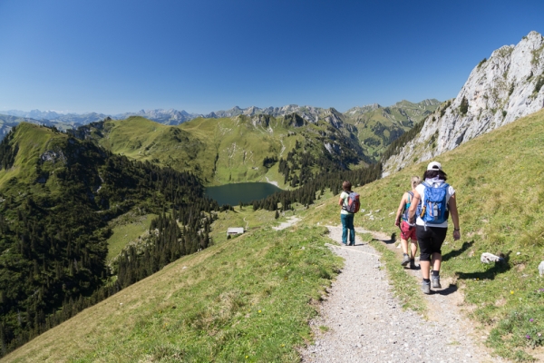 Vue panoramique depuis le Stockhorn