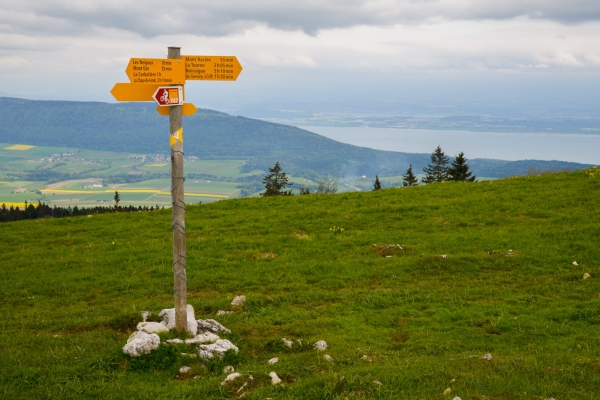 L’agriculture dans le Jura neuchâtelois