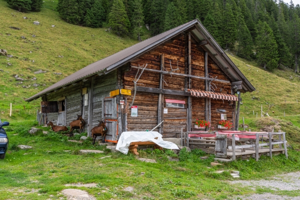 Sanfte Höhenwanderung