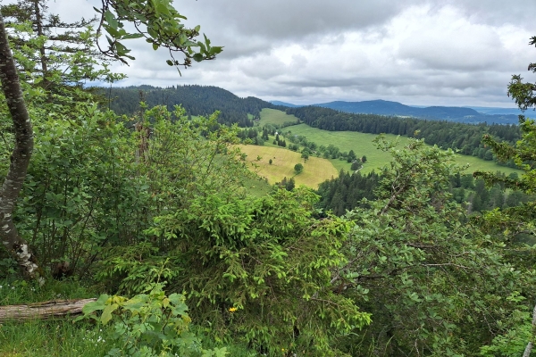 Viel Aussicht über den Tälern