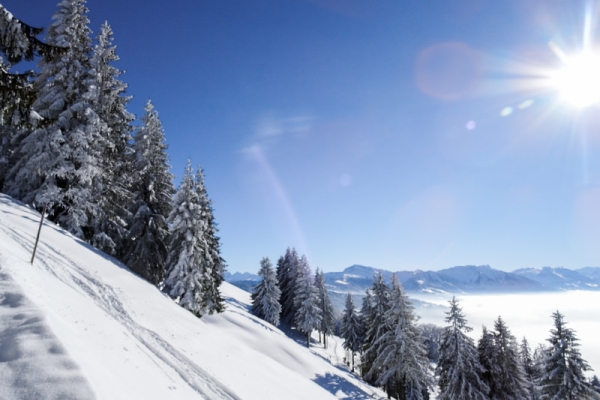 Den ganzen Tag im Schnee 