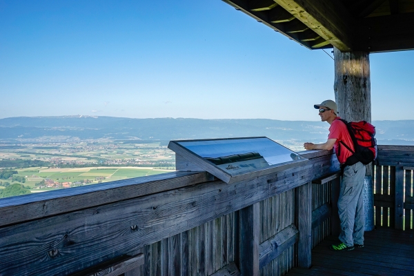 Vers Aarberg par le Frienisberg